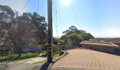 Biker Dogs Motorcycle Club - Image 1