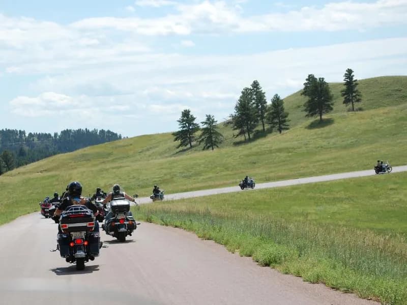 Steel Pony MC - Image 1